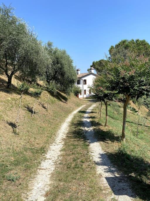 Tenuta Da Mose Con Vista Sui Colli Asolani Monfumo Exterior photo